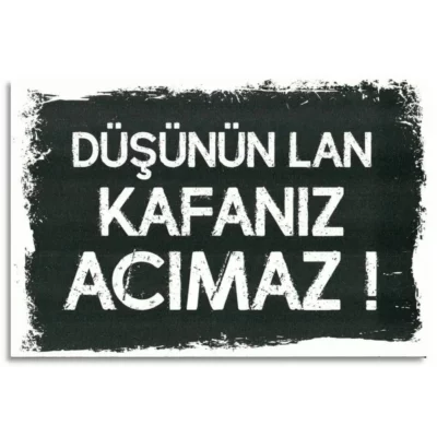 duesuenuen kafaniz acimaz duvar yazisi poster 1962