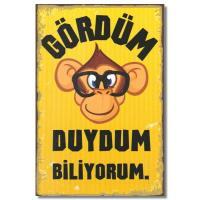 Duvar Yazisi: Gördüm Duydum Biliyorum