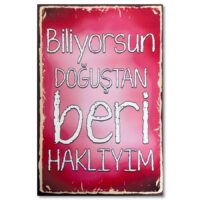 Ahsap Resim Biliyorsun Dogustan Beri Hakliyim