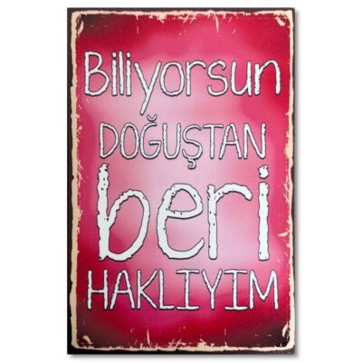 Ahsap Resim Biliyorsun Dogustan Beri Hakliyim