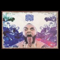 Duvar Dekoru Ahşap – Hayko Cepkin Poster